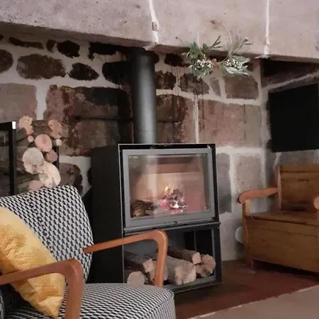 Maison Renovee Avec Jardin, Cheminee, Pres Du Super-lioran - Fr-1-742-528