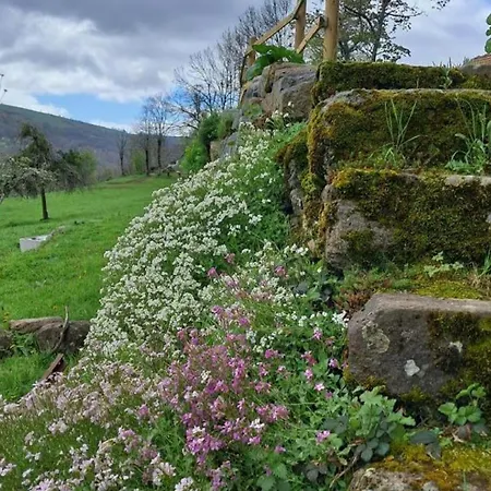 Maison Renovee Avec Jardin, Cheminee, Pres Du Super-lioran - Fr-1-742-528 Casa de Férias *